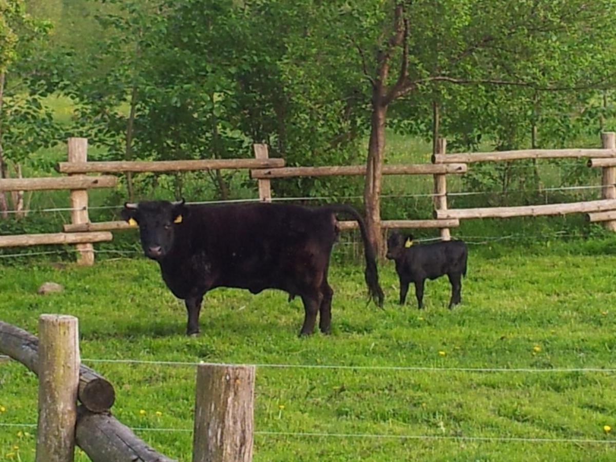 Doppelzimmer Im Spreewald Burg  Kültér fotó